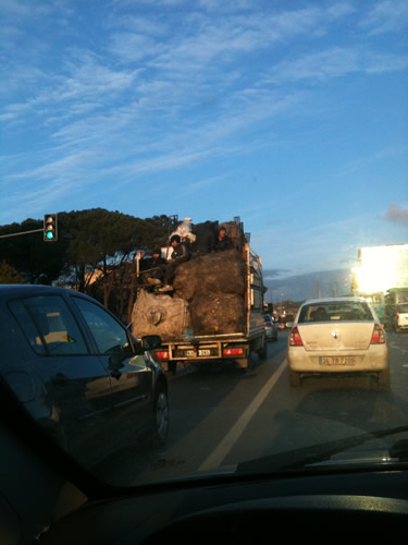 Trafik canavar yer mekan ayrt etmeden aramzda dolayor. skdar'da gndz vakti ekilen bu grntler insana 'bu kadarda olmaz' dedirtiriyor.