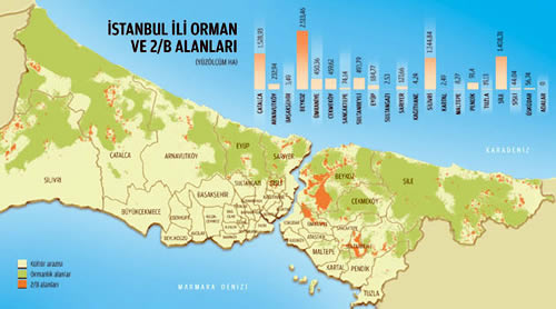 Orman vasfn kaybetmi 2-B statsndeki arazilerin satna ilikin almalar, stanbul'un tann toprann altn olduunu bir kez daha ortaya koydu.