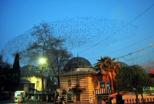 stanbul`un grlecek ve yaanacak 100 yeri