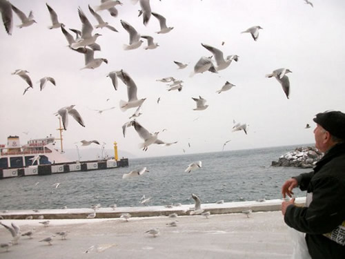 stanbul`un grlecek ve yaanacak 100 yeri