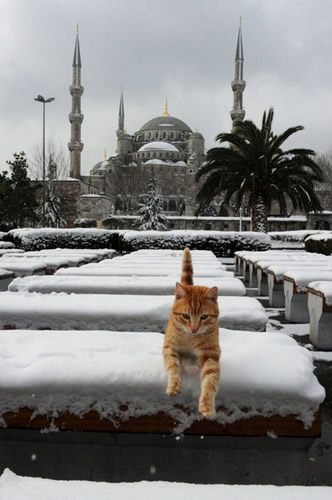 stanbul`un grlecek ve yaanacak 100 yeri