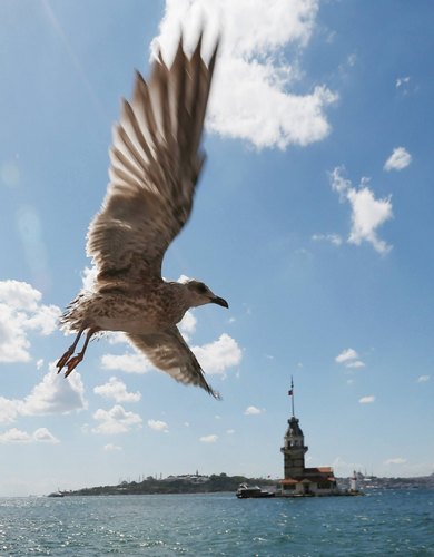 skdar Belediyesi ''ehir Sembolleri'' Konulu 2. Uluslararas Fotoraf Yarmas Sonuland