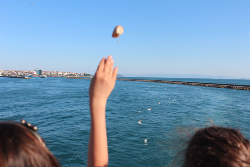 skdar Belediyesi ''3. Martlara Simit Atma enlii''