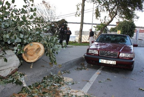 skdar'da frtna aalar devirdi