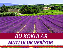 Bu Kokular Mutluluk Veriyor