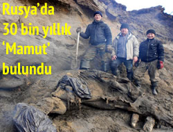 Rusya'da 30 bin yllk mamut bulundu